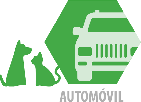 Cobertura Auto