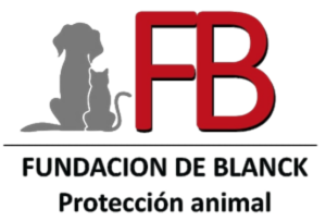 Fundacion-de-Blanck
