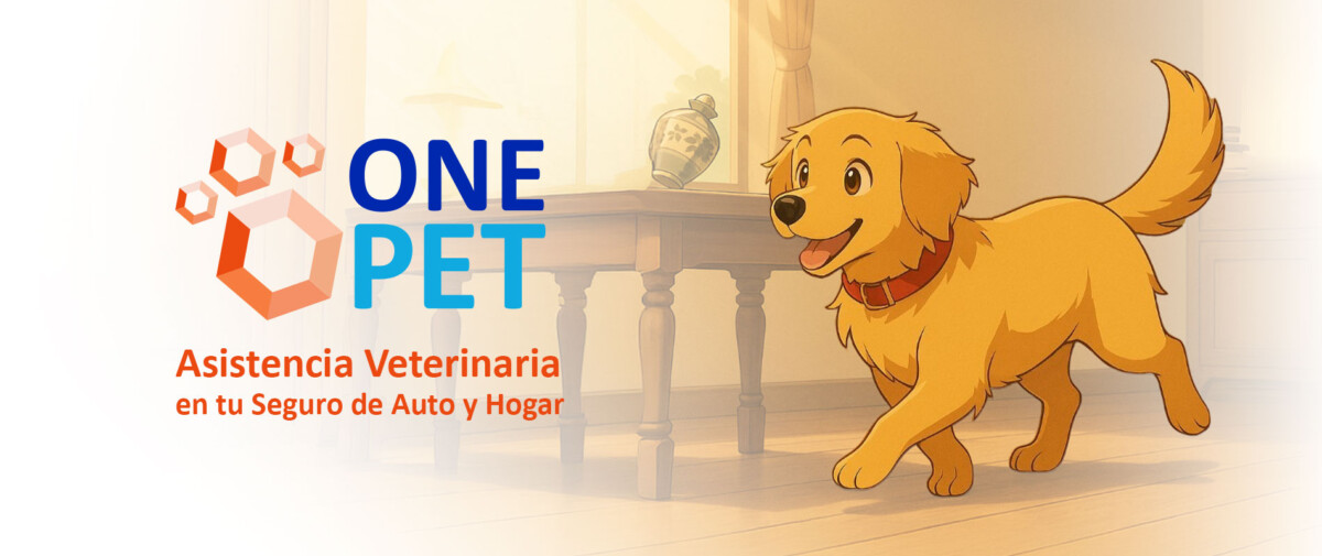 Slider-ONE-PET Max-ONE-PET